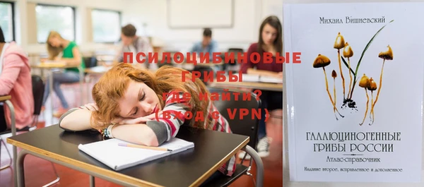 шишки Володарск