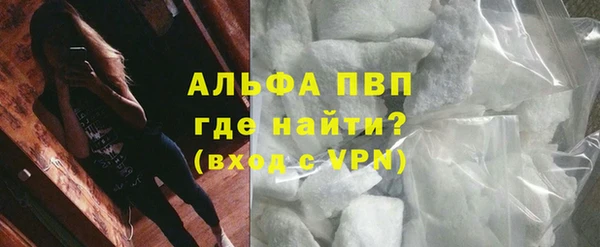 сатива Волоколамск