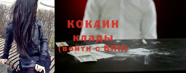 сатива Волоколамск