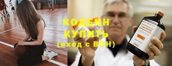 сатива Волоколамск