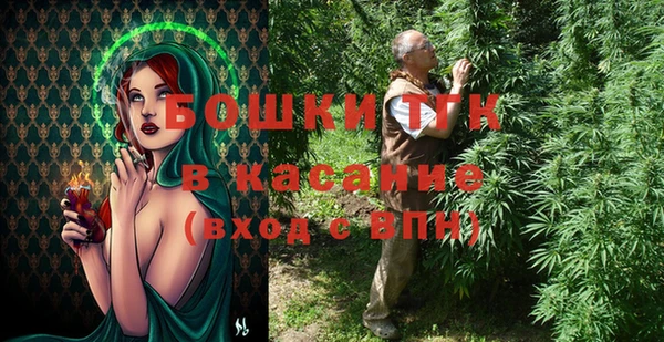 шишки Володарск