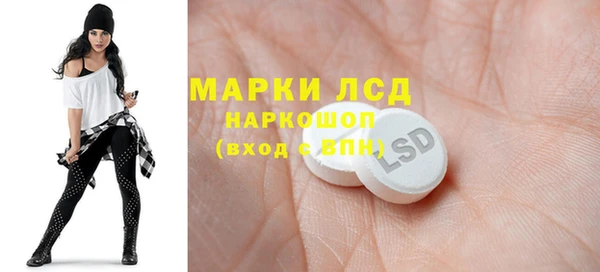 сатива Волоколамск