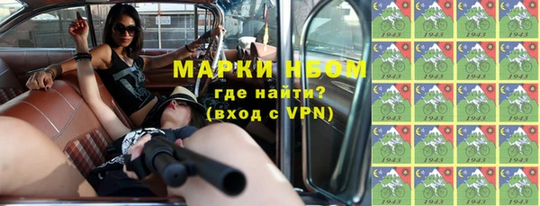 сатива Волоколамск