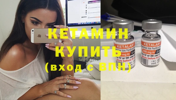 сатива Волоколамск