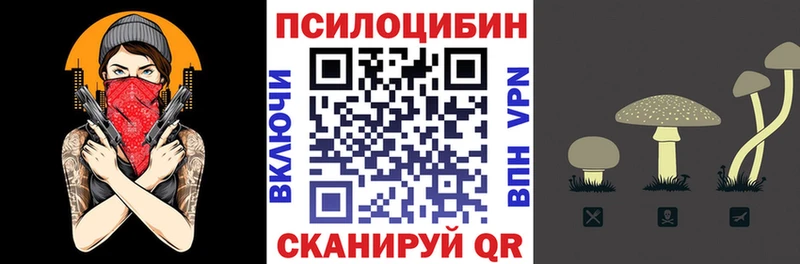 Псилоцибиновые грибы MAGIC MUSHROOMS  кракен ссылки  Елец 