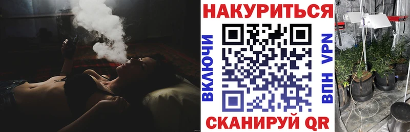 Конопля гибрид  Елец 